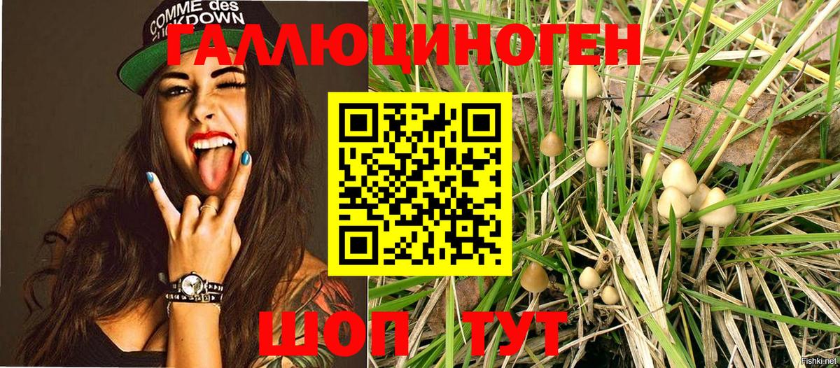 Галлюциногенные грибы Psilocybe  Вход с VPN  Кумертау  Псилоцибиновые грибы ЛСД 